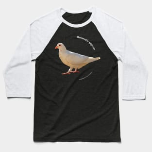 Domestic pigeon walking pin white text Baseball T-Shirt